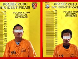 Polsek Kubu Ungkap Pencurian Sawit di PT Jatim Rokan Hilir, Dua Orang Diamankan