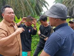 PN Rokan Hilir Pastikan Objek Sengketa, Pemeriksaan Setempat KSB Klaim  Lahan 7.000 Hektare di Pujud
