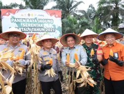 Wujudkan Swasembada Pangan, Polda Riau Panen Raya Jagung Serentak di Kampar