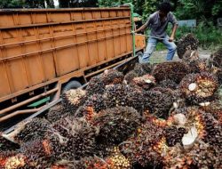 Diduga Ingkar Janji, DS Dituding Hentikan Fee 20 Persen Sewa RAM PT KAN