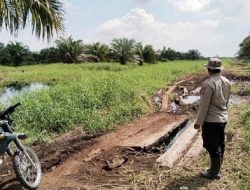 Polsek Pujud Gelar Patroli Pencegahan Karhutla di Wilayah Rokan Hilir
