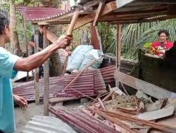 Polres Binjai Kembali Grebek Dan Musnahkan Barak Narkoba Di Kecamatan Binjai Barat