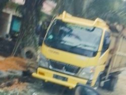 Ram Sawit menjamur di Wilayah kawasan hutan lindung desa Lubuk Bendahara ,Rokan IV koto