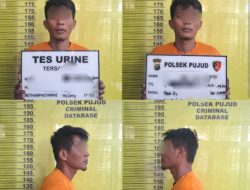 Polsek Pujud Terima Laporan Pencurian Buah Sawit di Perkebunan PT Tunggal Mitra, Pelaku Merupakan Residivis  Baru 2 Bulan Keluar Dari Lapas Perkara Pencurian Sawit Juga