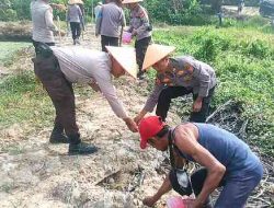Dukung Ketahanan Pangan, Polsek TPTM Tanam Jagung Pipil Bersama Petani