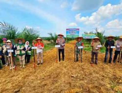 Polsek Bagan Sinembah Dukung Program Asta Cita Presiden Ketahanan Pangan Melalui Penanaman Jagung 