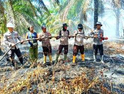 Polsek TPTM Bersama Tim Gabungan Lakukan Pemadaman Kebakaran Lahan Gambut di Tanah Putih Tanjung Melawan