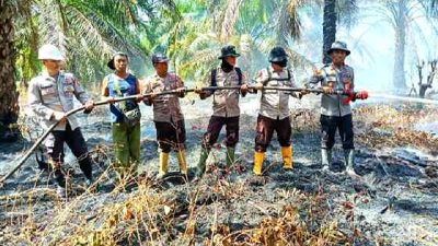 Polsek TPTM Bersama Tim Gabungan Lakukan Pemadaman Kebakaran Lahan Gambut di Tanah Putih Tanjung Melawan