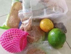 Distribusi MBG Empat Hari Sekaligus Jadi Sorotan Wabup Rohil