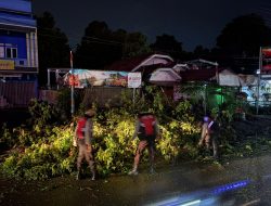 Di Tengah Hujan Deras, Polisi Muara Enim Sigap Singkirkan Pohon Tumbang Demi Keselamatan Pemudik