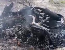 Teror “Ninja Sawit” di Rohil! Dua Motor Petugas Keamanan Perkebunan Dibakar Hingga Hangus