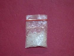 Polsek Rambah Samo Amankan Barang Bukti 1,70 Gram, Seorang Perantara Sabu Diringkus di Sei Kuning