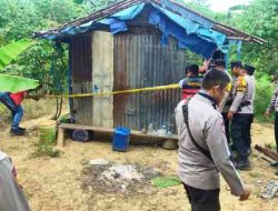 Patroli Polsek Pujud Ungkap Pencurian Sawit dan Dugaan Penyalahgunaan Narkotika
