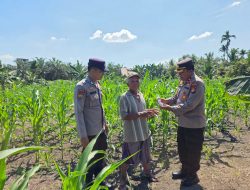 Kapolsek Ujungbatu Memberikan bantuan Racun Hama untuk Dukung Petani Jagung di Desa Ngaso