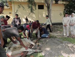 Polres Rokan Hilir Gelar Penyembelihan Hewan Qurban Sambut Idul Adha 1447 H