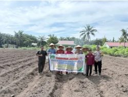 Kapolsek Kepenuhan Bersama Upika Laksanakan Penanaman Jagung Kuartal II di Desa Kepenuhan Baru