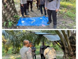 Polsek Pujud Segel Lokasi Diduga Tempat Penyalahgunaan Narkoba di Kepenghuluan Sukajadi