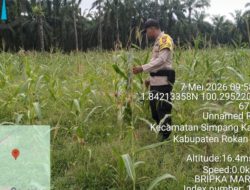 Polsek simpang kanan lakukan pengecekan progres Ketapang yang berlangsung di Dusun Suka makmur, kep. Bagan Nibung