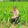 Polsek Tanah Putih Cek Perkembangan Jagung Program Ketahanan Pangan, Tanaman Tumbuh Baik