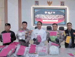 Polres Rohil Ungkap 80 Kasus Narkoba, Sita Ribuan Butir Ekstasi dan Kilogram Serbuk Ekstasi