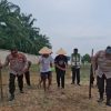Kapolsek Ujungbatu Dampingi Petani Tanam Jagung 1 Hektar di RK Harapan Kelurahan Ujungbatu
