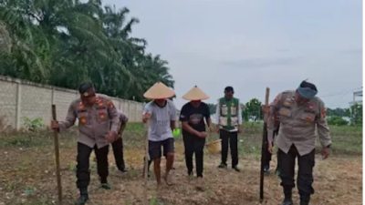 Kapolsek Ujungbatu Dampingi Petani Tanam Jagung 1 Hektar di RK Harapan Kelurahan Ujungbatu