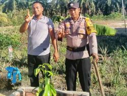 Polsek TPTM Tanam Bibit Kelengkeng Bersama Warga Dukung Penghijauan