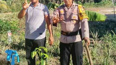 Polsek TPTM Tanam Bibit Kelengkeng Bersama Warga Dukung Penghijauan