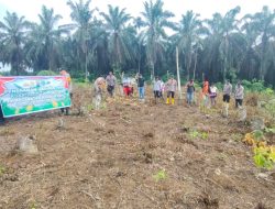 Polsek Rambah Samo Melaksanakan Penanaman Jagung Pilpil Kuartal III Tahun 2026 di Lahan +1,5 Hektar
