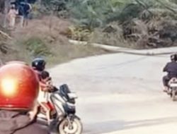 Tiang Listrik Roboh Diduga Tersenggol Alat Berat, Listrik di Sejumlah Wilayah Bagan Sinembah Sempat Padam Sehari Penuh