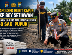 Dukung Swasembada Pangan 2026, Polsek Bukit Kapur Tanam Jagung Pipil dan Salurkan 50 Sak Pupuk Kandang