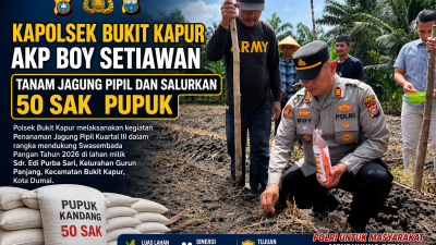 Dukung Swasembada Pangan 2026, Polsek Bukit Kapur Tanam Jagung Pipil dan Salurkan 50 Sak Pupuk Kandang