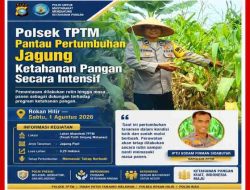 Polsek TPTM Pantau Pertumbuhan Jagung Ketahanan Pangan Secara Intensif 