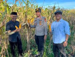 Lahan Jagung 25 Hektare di TPTM Dipersiapkan, Polsek TPTM Fokus Benahi Drainase Pascabanjir