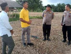 Polres Rohil Bersama Polsek TPTM Cek Lahan 25 Hektare untuk Program Ketahanan Pangan di TPTM Rohil