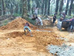 Warga Balai Jaya Gotong Royong Perbaiki Jalan Rusak