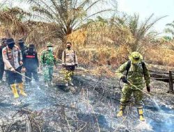 Riau Zero Karhutla, Satgas Tetap Siaga Cegah Api Kembali Muncul