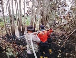 Api Menggila di Lahan Gambut Sungai Rotan, Puluhan Hektare Terancam! Tim Gabungan Berjibaku Selamatkan Lingkungan