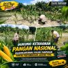 Dukung Ketahanan Pangan Nasional, Bhabinkamtibmas Polsek Panipahan Pantau Pertumbuhan Jagung Pipil