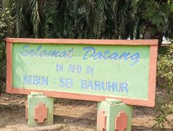 Klarifikasi PTPN IV Regional I Sei Baruhur: Perawatan Blok G14 Afdeling IV Disebut Sesuai Plot, Dikerjakan Oktober 2026