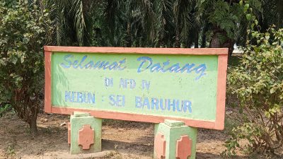 Klarifikasi PTPN IV Regional I Sei Baruhur: Perawatan Blok G14 Afdeling IV Disebut Sesuai Plot, Dikerjakan Oktober 2026