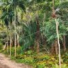 Kabel Masih Terpasang, Warga Junjangan Bantah Kabar Pencurian