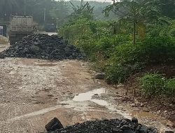 Peduli Infrastruktur Masyarakat, PT GBR Gelontorkan 7 Dumtruk Batu untuk Perbaikan Jalan Lintas Tiga Kecamatan di Rohil