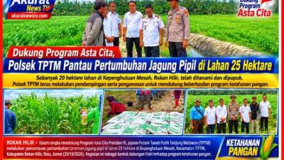 Polsek TPTM Pantau Pertumbuhan Jagung Pipil di Lahan Seluas 25 Hektar