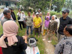 Wujud Hilirisasi Batu Bara untuk Pertanian, PTBA Bersama UGM Uji Coba Pupuk Kalium Humat di Sawahlunto*